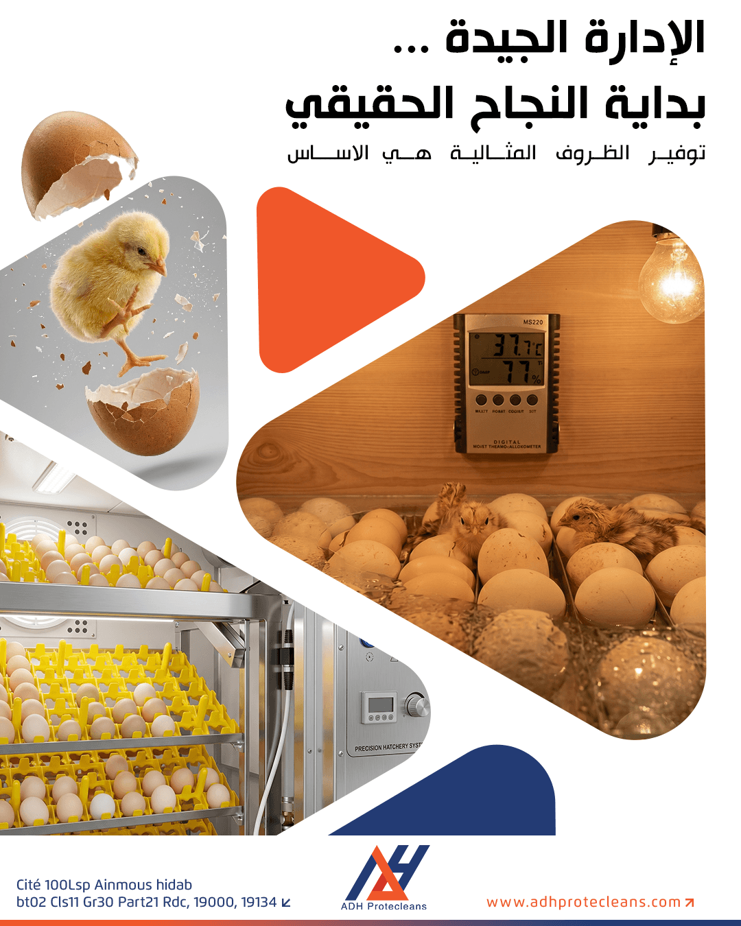 إدارة فقاسات البيض