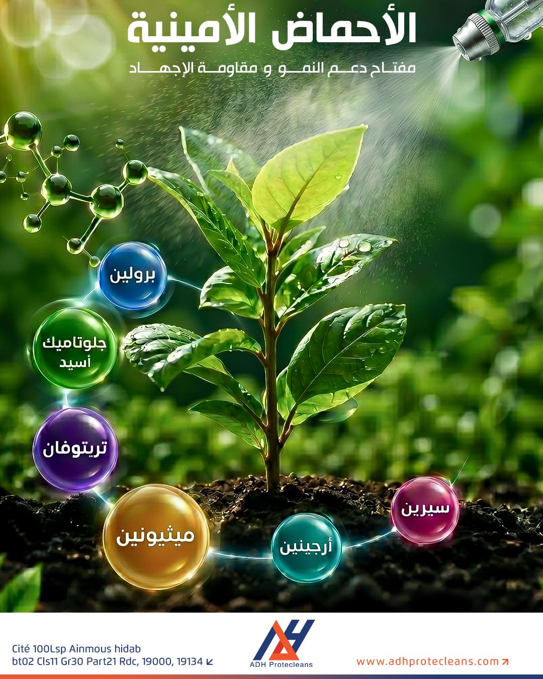 الأحماض الأمينية 