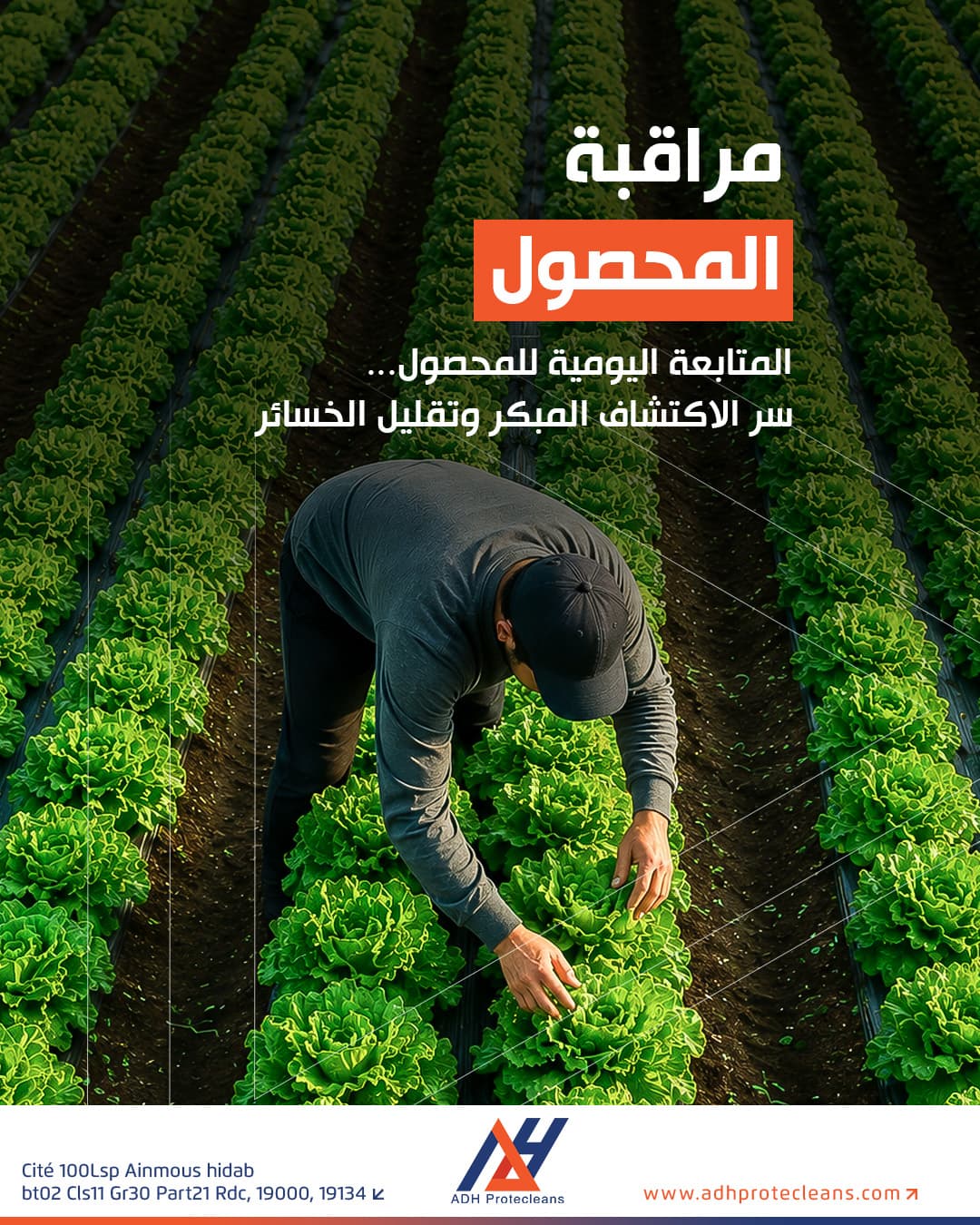 المتابعة اليومية للمحصول.. سر الاكتشاف المبكر وتقليل الخسائر