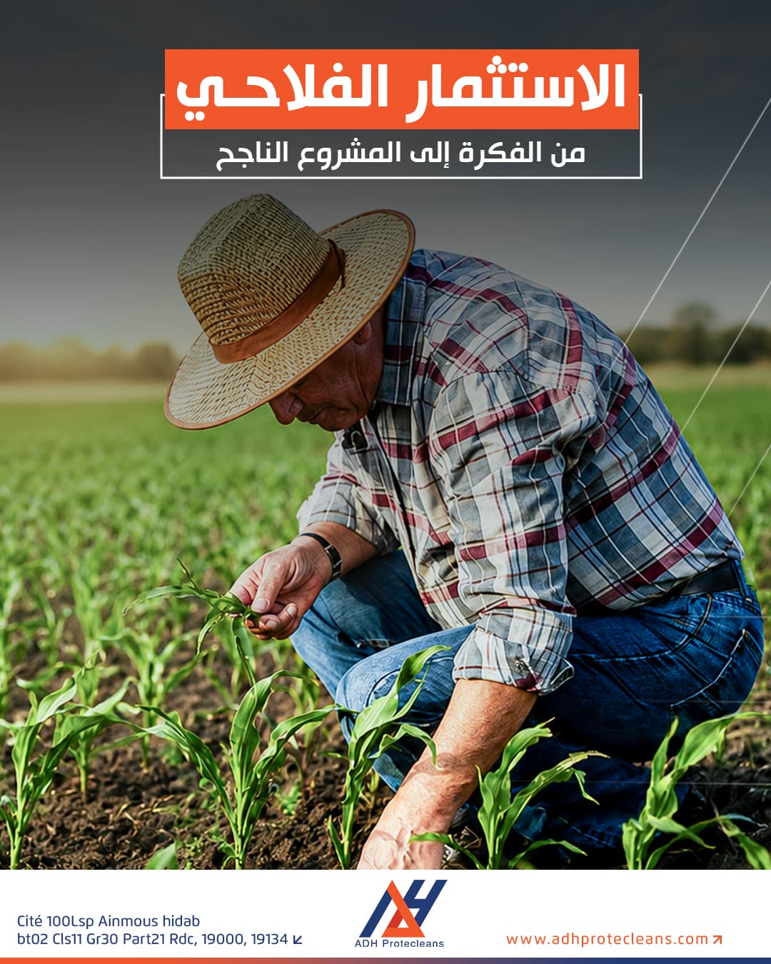 الاستثمار الفلاحي: من الفكرة إلى المشروع الناجح